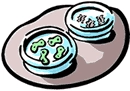 Cartoon image of two petri dishes