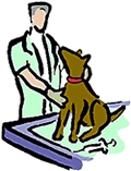 Cartoon image of a veternarian examing a dog.