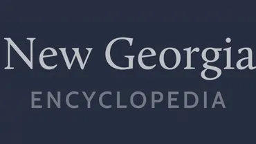 A logo that says New Georgia Encyclopedia