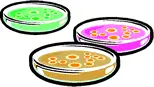 Illustration of three petri dishes
