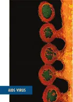 RTK Bloodborne Pathogens | University System of Georgia